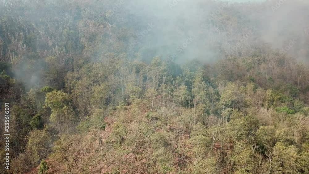Aerial View Above WildFire Burning Forest Aerial View Above WildFire Burning Forest
