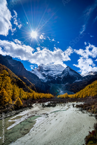 Nature landscape river in pine forest mountain valley,Snow Mountain in daocheng yading,Sichuan,China.