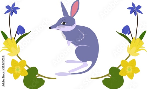 Poster with cute little easter bilby isolated on white background. Great for greeting cards and posters. photo