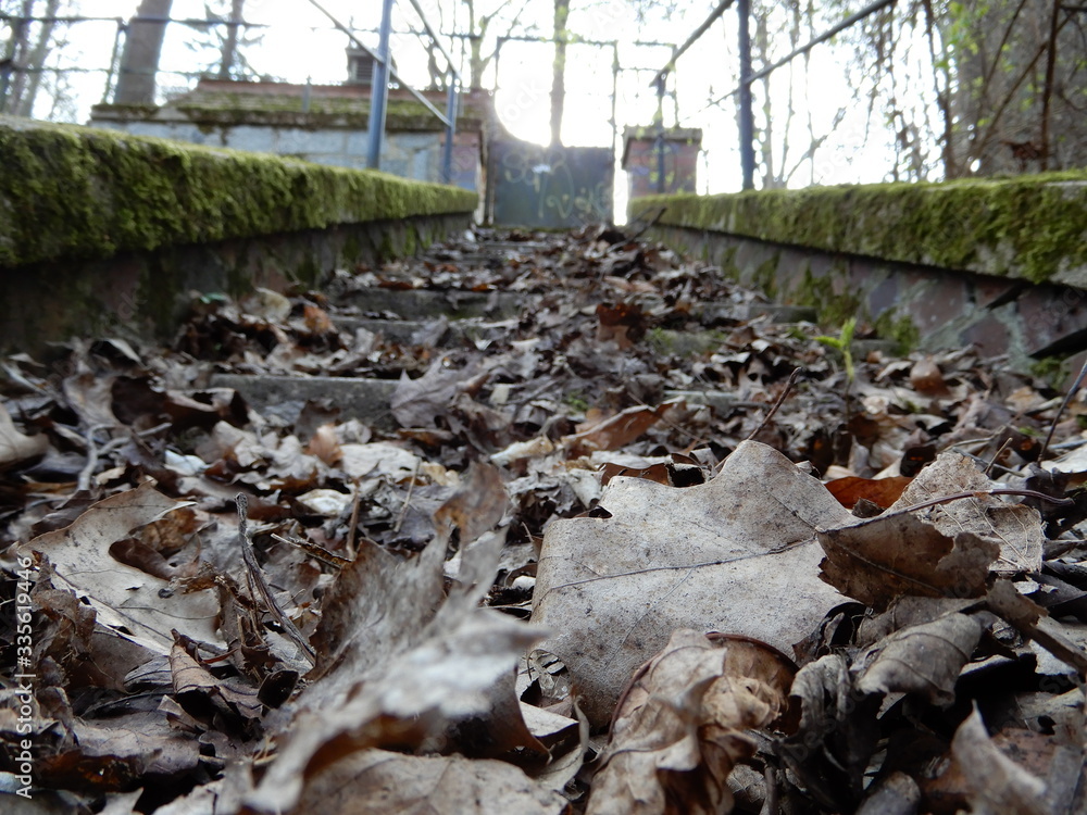 Fototapeta premium autumn leaves on the stairs
