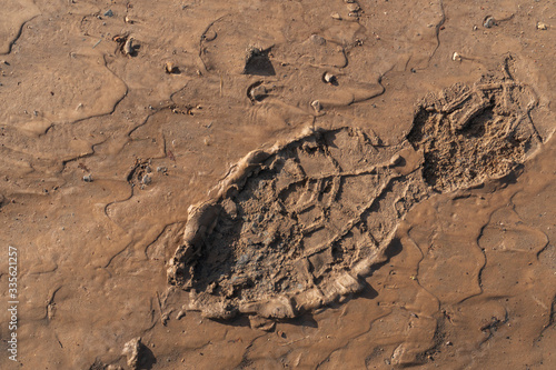 Footprint of a workboot in the mud after work photo