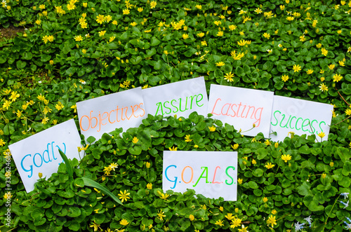 Goals definition concept explained as Godly objectives assure lasting success handwritten on cardboard sheets placed on a garden floor background
