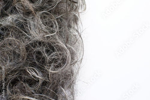 Freshly cut gray hair on white background