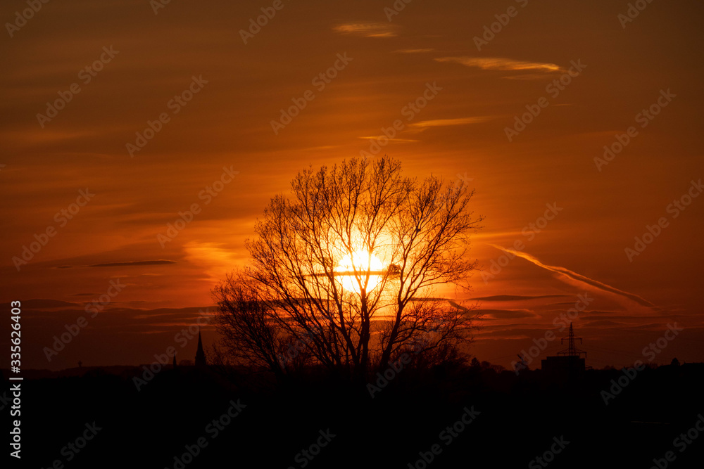 Fototapeta premium Wunderschöner Sonnenuntergang durch die Bäume betrachtet