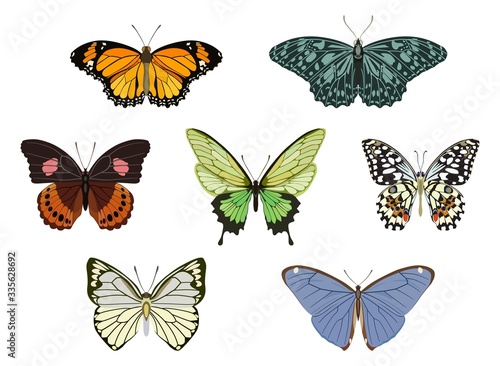 Collection of colored butterflies on a white background. Vector illustration.