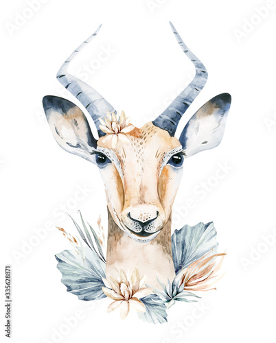 Photography Cute antelope watercolor portrait savanna illustration