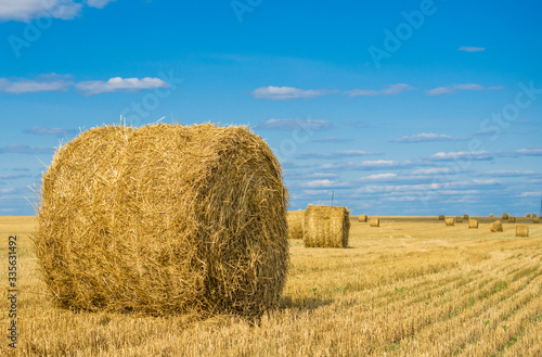 round haystack in a field, under a blue sky