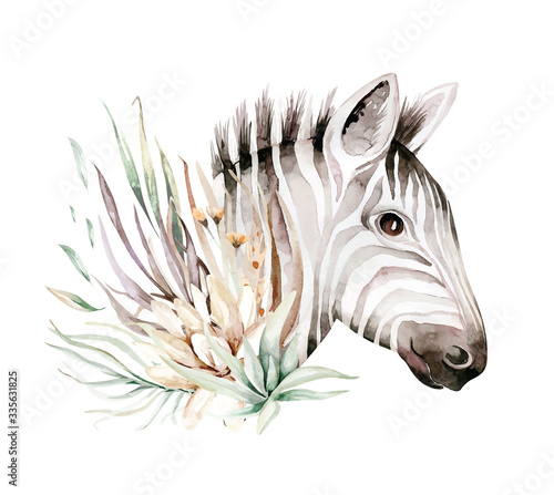 Cute zebra watercolor portrait illustration. African animals exotic nature. Savannah wildlife animal