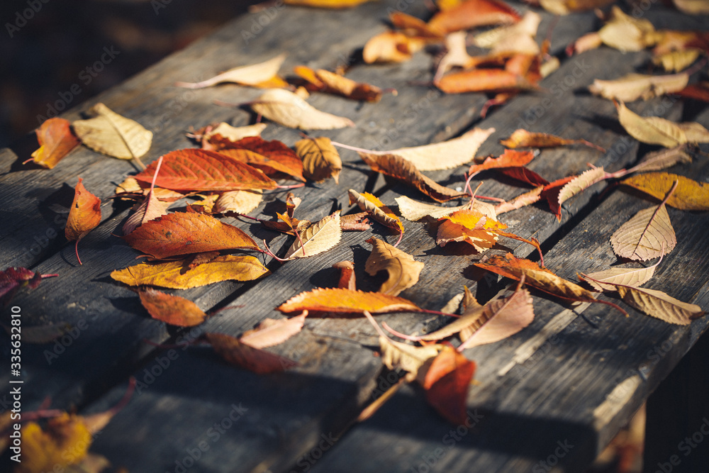 Yellow fallen leaves on a wooden table. autumn cold Yellow fallen leaves on a wooden table. autumn cold