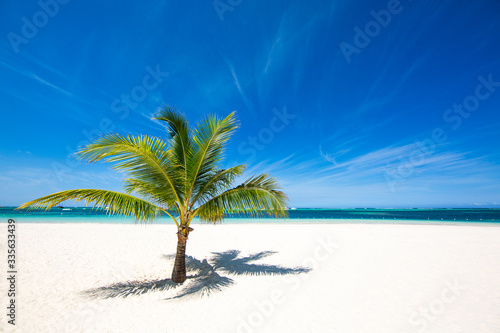 Fototapeta Naklejka Na Ścianę i Meble -  Palm tree on a deserted beautiful beach with white sand and turquoise water. The best places in the world. amazing tropical background. Holidays by the ocean 