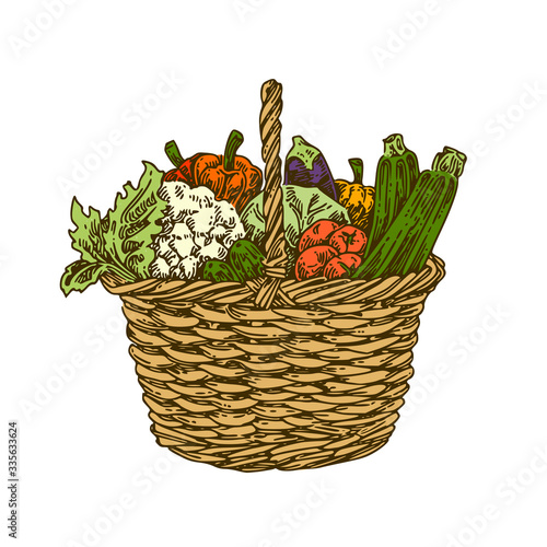 Wicker basket with ripe vegetables. Color. Engraving style. Vector illustration.