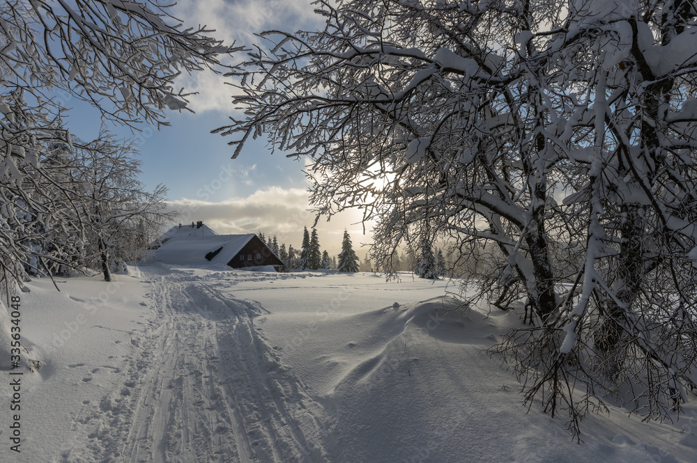 Zimowa droga prowadząca do zasypanej śniegiem chaty