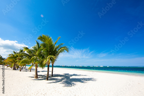 Fototapeta Naklejka Na Ścianę i Meble -  Amazing tropical background. View of the turquoise sea through green palm trees. White sand and clear blue sky. Paradise island with beautiful beaches.