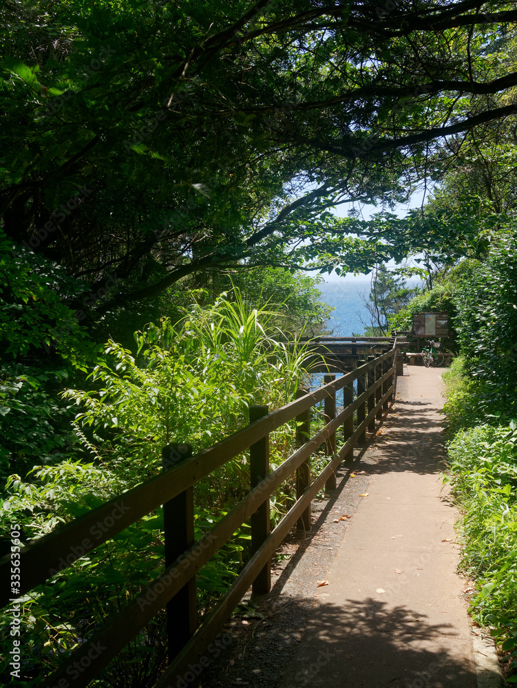 Hiking footpath next to the Tajima river reaching to the cliffs of the Jogasaki Coast, Izu, Japan. Sight map showing the ways to the light house (left) and the suspension bridge (right).