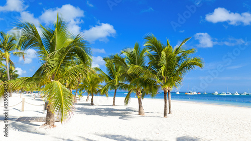 Tropical background. Palm trees on the caribbean sea. isolated white sand beach and blue water. Paradise island. Dominican Republic  Punta Cana Bavaro beach