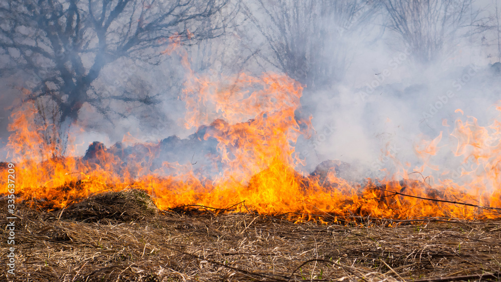 Fire in the mountains and field Fire in the mountains and field