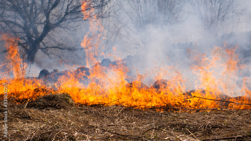 Fire in the mountains and field Fire in the mountains and field