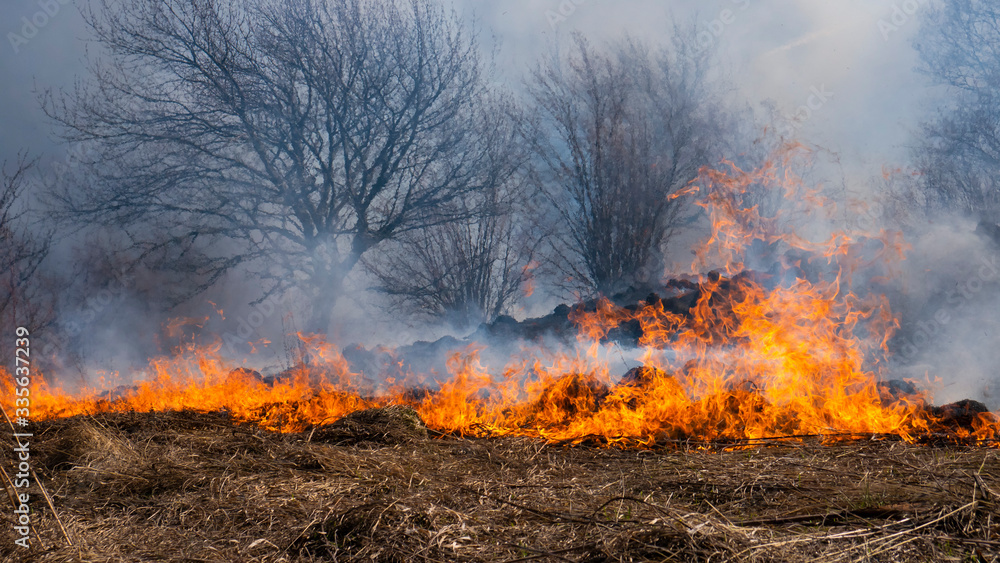 Fire in the mountains and field