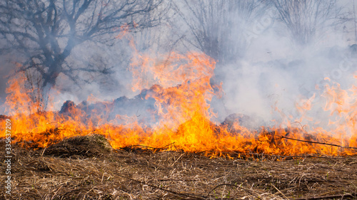 Fire in the mountains and field