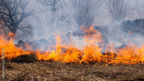 Fire in the mountains and field