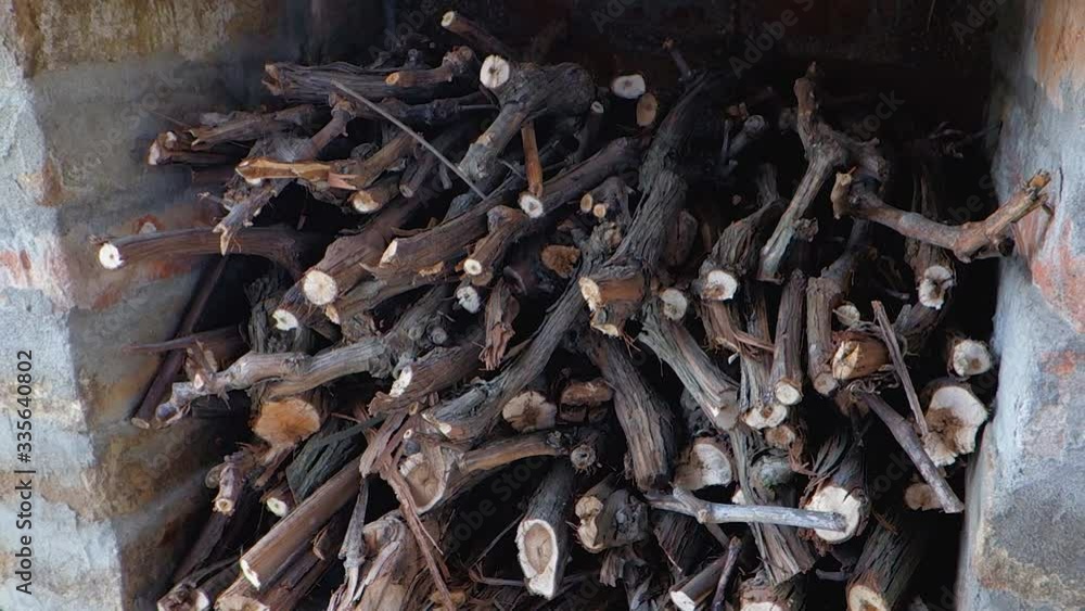 A bunch of branches prepared for cooking kebab. Pile of firewood prepared for fireplace. Stacks of firewood. A bunch of branches prepared for cooking kebab. Pile of firewood prepared for fireplace. Stacks of firewood.