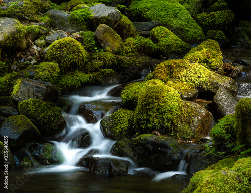 Water falls through moss covered rocks