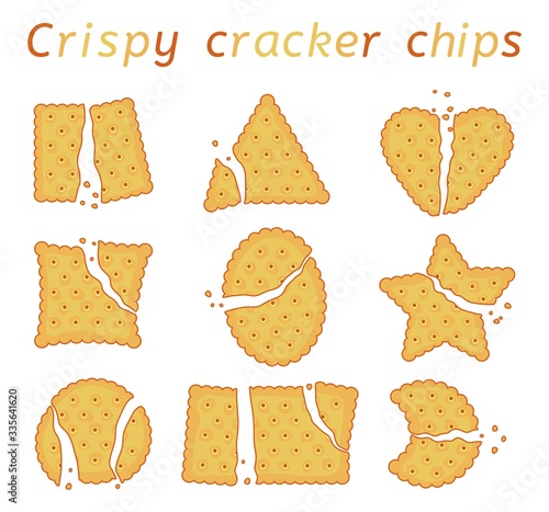 vector set of broken baked cracker chips