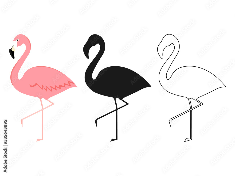 Obraz premium Group of flamingo in different poses cartoon vector illustration isolated on white
