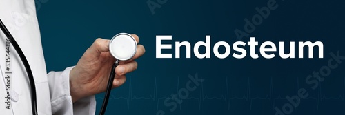 Endosteum. Arzt im Kittel hält Stethoskop. Das Wort Endosteum steht daneben. Symbol für Medizin, Krankheit, Gesundheit photo