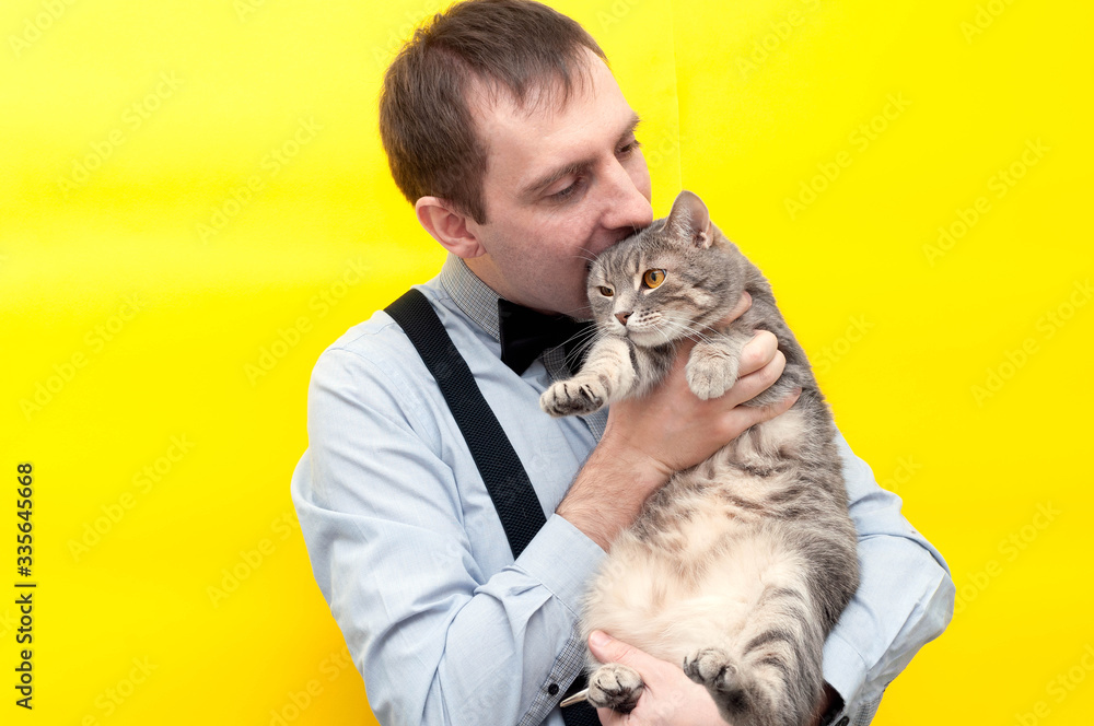 handsome sly man in blue shirt holding cute grey tabby cat and jesting bite it ear in front of yellow background with copy space
