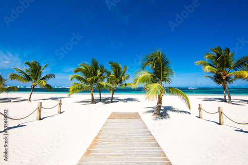 Fototapeta Naklejka Na Ścianę i Meble -  Wooden path to the sea between palm trees on a beautiful tropical white sand beach on a paradise island. Holidays by the ocean, sunny tan and calm. Punta Cana