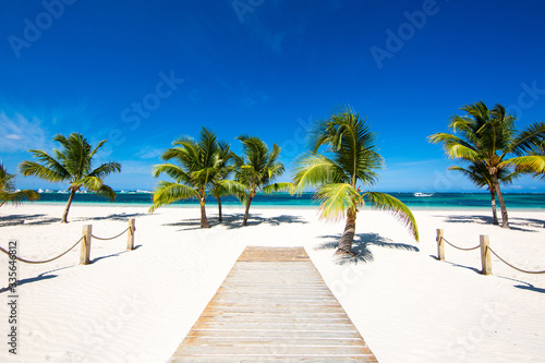 Wooden path to the sea between palm trees on a beautiful tropical white sand beach on a paradise island. Holidays by the ocean, sunny tan and calm. Punta Cana