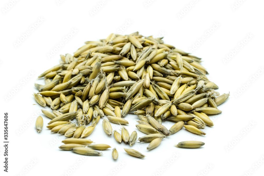 Pile of millet grains with peel isolated on white background