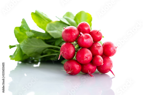 Fresh red organic radishes on white background