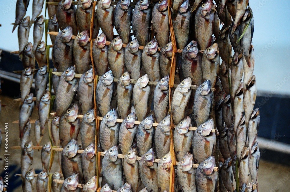 Drying Fish