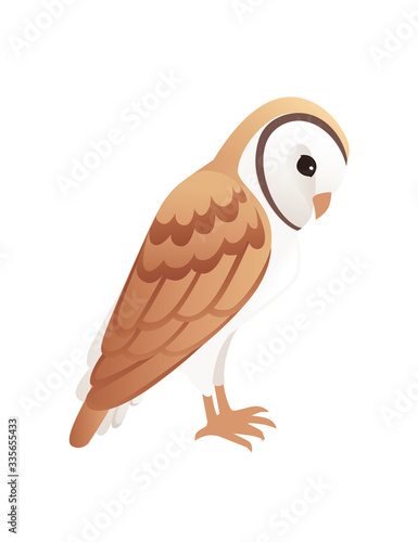 Cute barn owl (tyto alba) with white face and brown wings cartoon wild forest bird animal design flat vector illustration isolated on white background