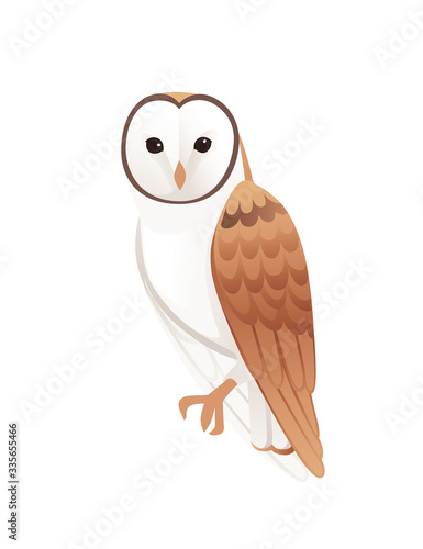 Cute barn owl (tyto alba) with white face and brown wings cartoon wild forest bird animal design flat vector illustration isolated on white background