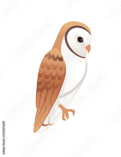 Cute barn owl (tyto alba) with white face and brown wings cartoon wild forest bird animal design flat vector illustration isolated on white background