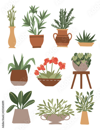 Home decorative and outdoor garden plants in pots set green plants flat vector illustration isolated on white background © Alfmaler