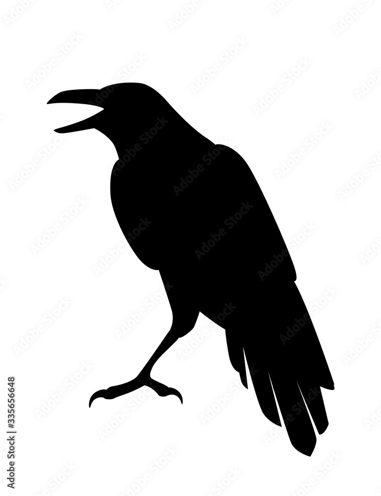 Obraz premium Black silhouette raven bird cartoon crow design flat vector animal illustration isolated on white background