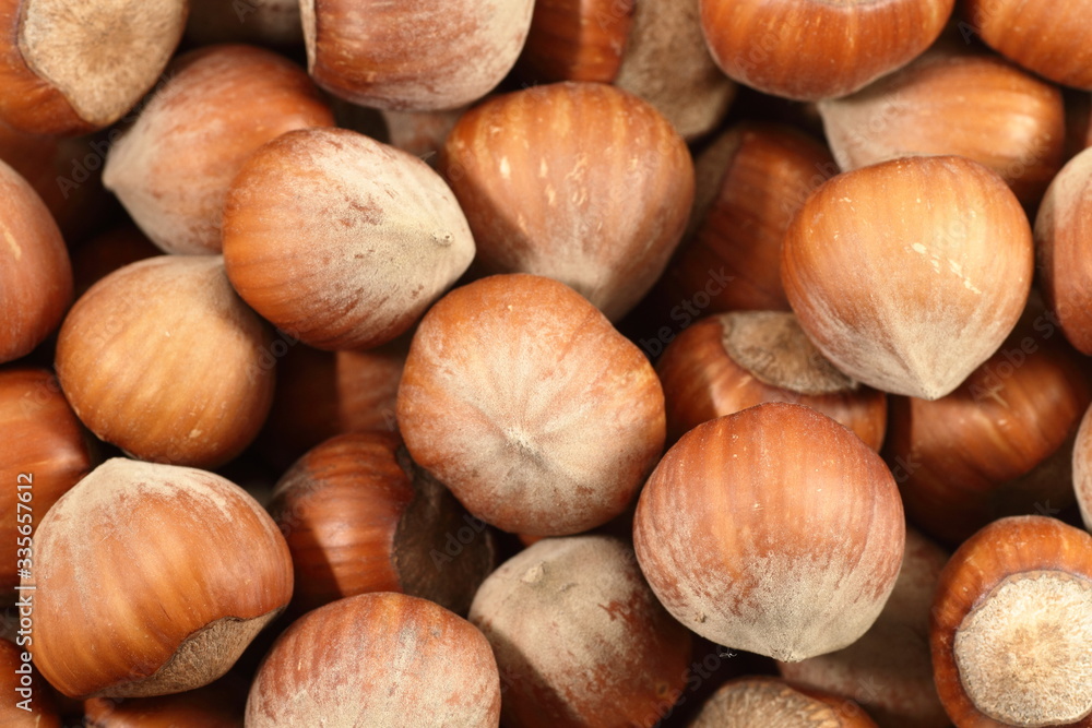 hazelnuts