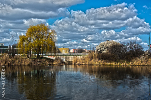 jezioro w mieście 