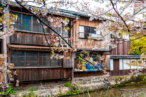 Gion district in Kyoto, Japan with cherry blossom sakura blooming flowers in garden park by Shirakawa river with wooden traditional Japanese style machiya houses buildings