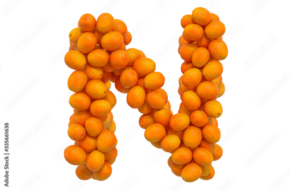 Letter N from oranges, 3D rendering
