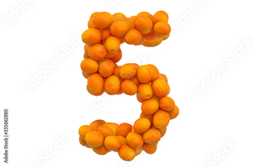 Number 5 from oranges, 3D rendering