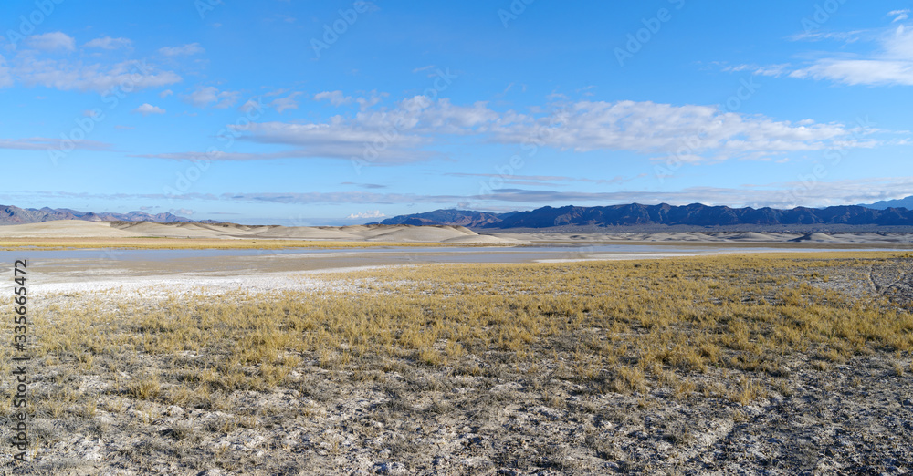 Tecopa Hot Springs area (looking north) in the Mojave desert in Southern California. The foreground shows surface soda salts mixed with soft mud and grasses. Tecopa is located south of Death Valley.
