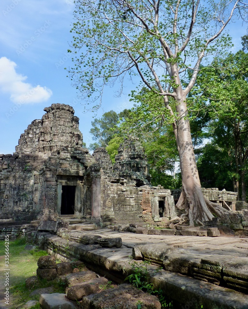 Ruins of Angkor, temple of Preah Khan, stone pyramids with tree on grass, Angkor Wat, Cambodia