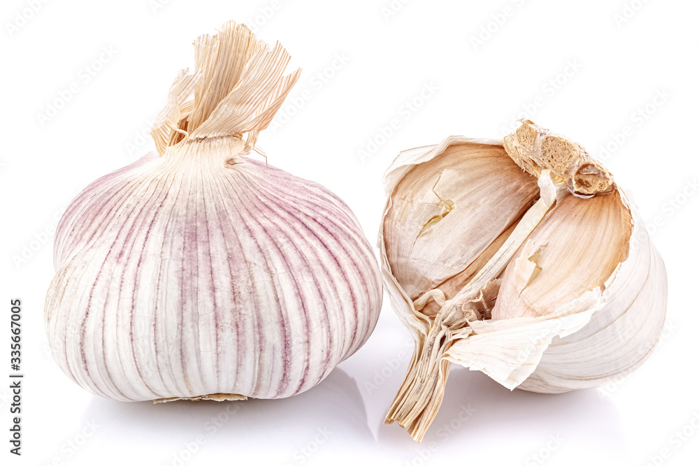 Obraz premium Open and whole garlic heads in a row isolated on white background with reflection on glossy surface