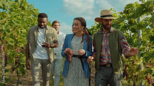 Cuadro en lienzo Group of beauty fashion friends walking with farmer on wine tour through gorgeous grapevine garden talking enjoying summertime at vineyard