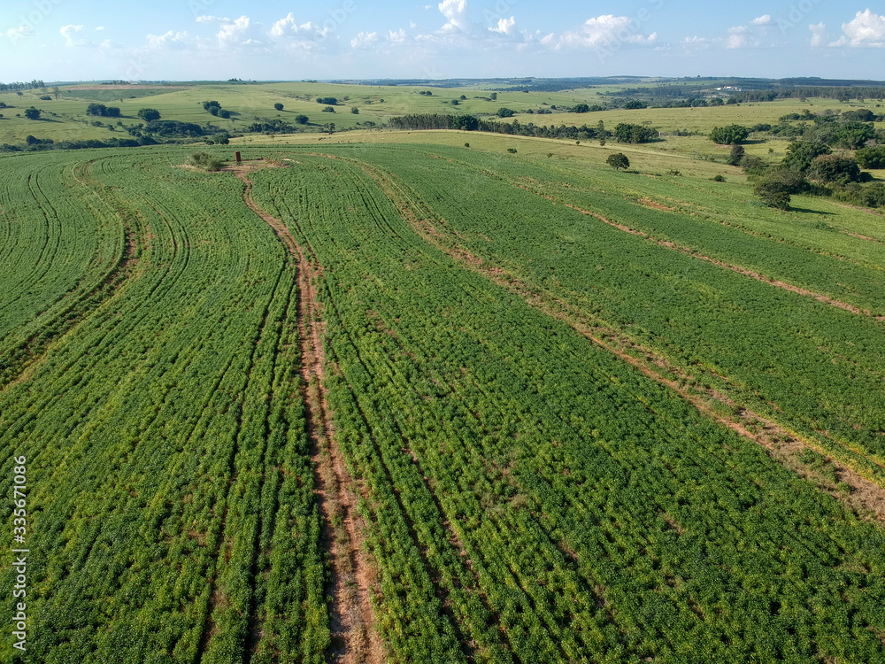 Aerial view of green soybean fiel in Brazil